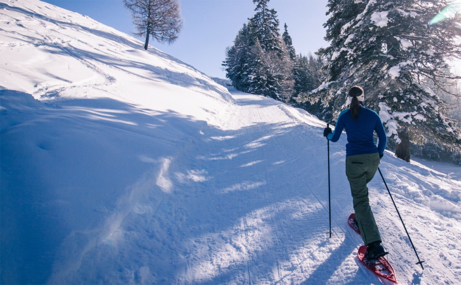 Skigebied Ovronnaz